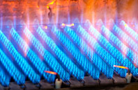 Berrington Green gas fired boilers